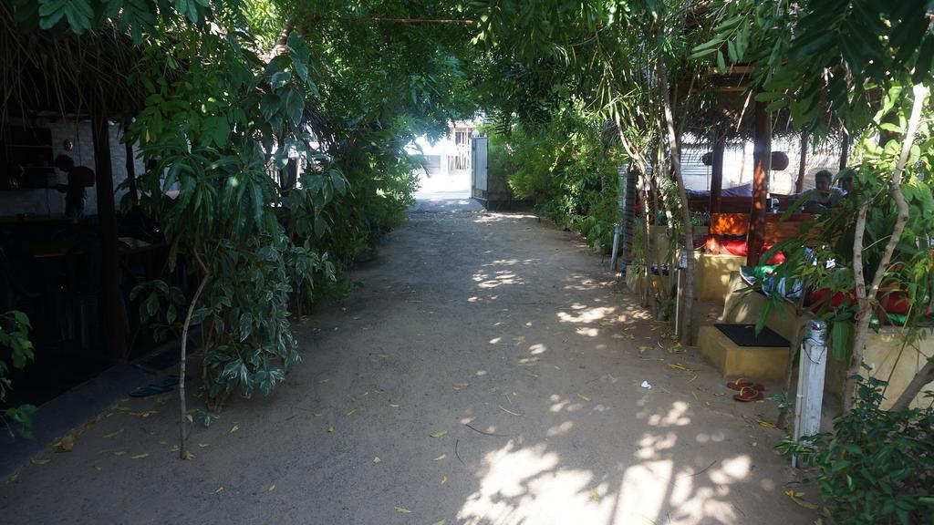 Zimbay Guest House アルガムベイ エクステリア 写真
